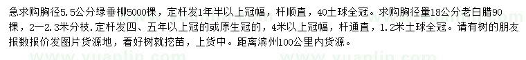 求购胸径5.5公分绿垂柳、18公分老白蜡