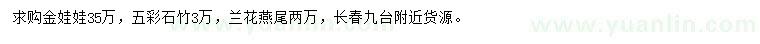 求购金娃娃、五彩石竹、兰花燕尾