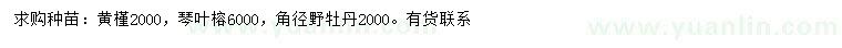 求购黄槿、琴叶榕、角径野牡丹