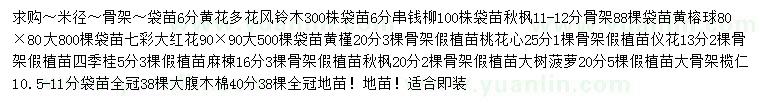 求购黄花多花风铃木、串钱柳、秋枫等