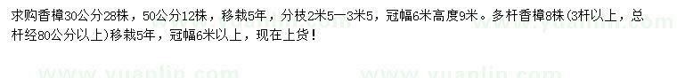 求购30、50公分香樟、高9米多杆香樟