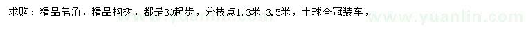 求购30公分起步皂角、构树