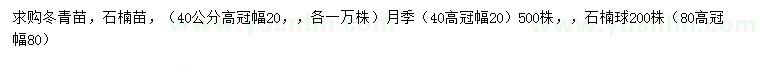 求购冬青苗、石楠苗、月季苗等