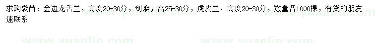 求购金边龙舌兰、剑麻、虎皮兰