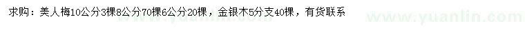 求购6、8、10公分美人梅、金银木