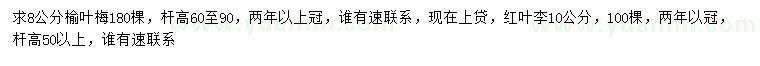 求购8公分榆叶梅、10公分红叶李