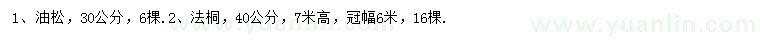 求购30公分油松、40公分法桐		