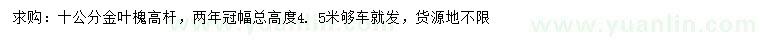 求购10公分金叶槐