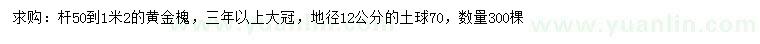 求购地径12公分黄金槐