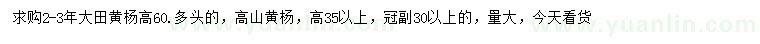 求购高60公分大田黄杨、35公分以上高山黄杨