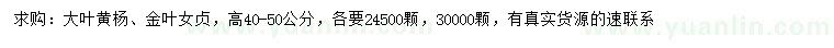 求购高40-50公分大叶黄杨、金叶女贞