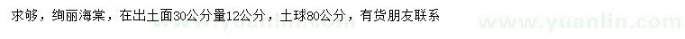 求购30公分量12公分绚丽海棠