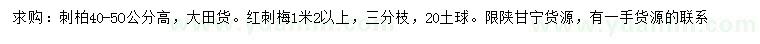 求购高40-50公分刺柏、红刺梅