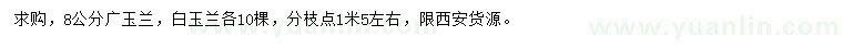 求购8公分广玉兰、白玉兰