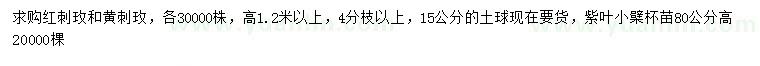 求购红刺玫、黄刺玫、紫叶小檗