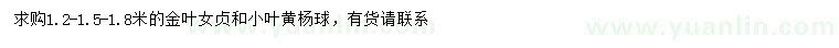 求购1.2-1.5-1.8米金叶女贞、小叶黄杨球