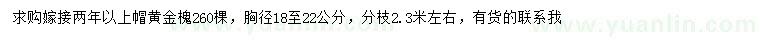 求购胸径18-22公分黄金槐