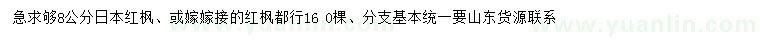 求购8公分日本红枫、红枫