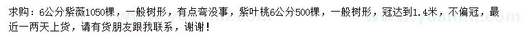 求购6公分紫薇、紫叶桃