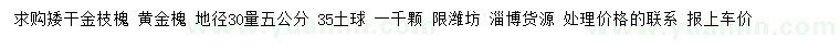 求购地径30公分量5公分矮杆金枝槐、黄金槐