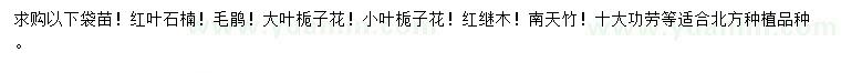 求购红叶石楠、毛鹃、大叶栀子花等