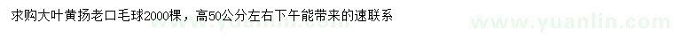 求购高50公分左右大叶黄扬