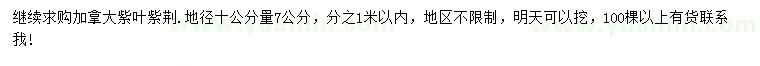 求购地径10公分7公分加拿大紫叶紫荆