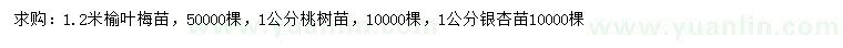 求购榆叶梅苗、桃树苗、银杏苗