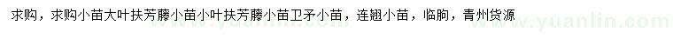 求购大叶扶芳藤小苗、卫矛小苗、连翘小苗