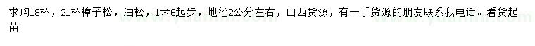 求购地径2公分左右樟子松、油松