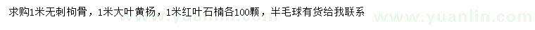 求购无刺枸骨、大叶黄杨、红叶石楠