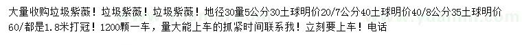 求购地径30公分量5公分垃圾紫薇