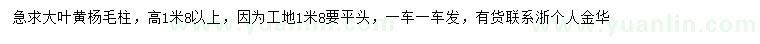 求购高1.8米以上大叶黄杨毛柱