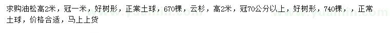 求购高2米油松、云杉