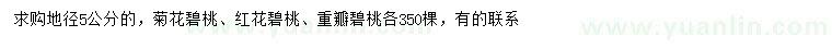 求购菊花碧桃、红花碧桃、重瓣碧桃