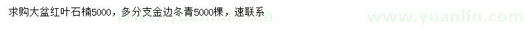 求购红叶石楠、金边冬青