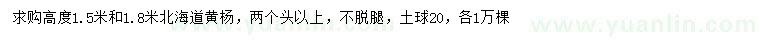 求购高1.5、1.8米北海道黄杨