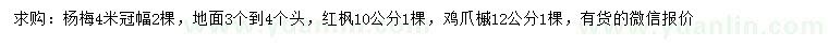 求购杨梅、红枫、鸡爪槭