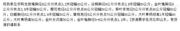 求购龙抓槐、法桐、金叶槐等