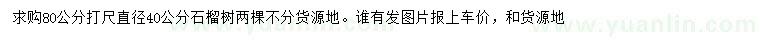 求购80公分量直径40公分石榴树