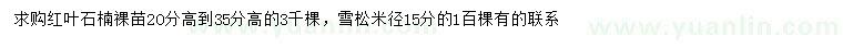 求购高20-35公分红叶石楠