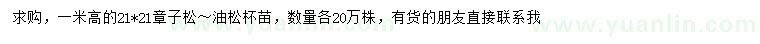 求购高1米樟子松、油松