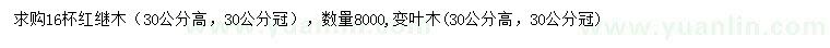 求购高30公分红继木、变叶木