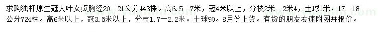 求购胸径17-18、20-21公分大叶女贞