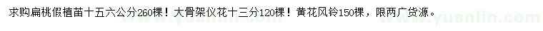 求购扁桃、仪花、黄花风铃