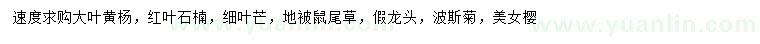 求购大叶黄杨、红叶石楠、细叶芒等