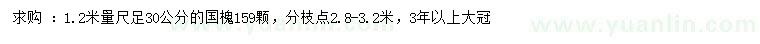 求购1.2米量足30公分国槐