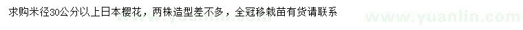 求购米径30公分以上日本樱花