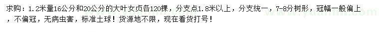 求购1.2米量16、20公分大叶女贞