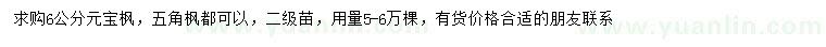 求购6公分元宝枫、五角枫